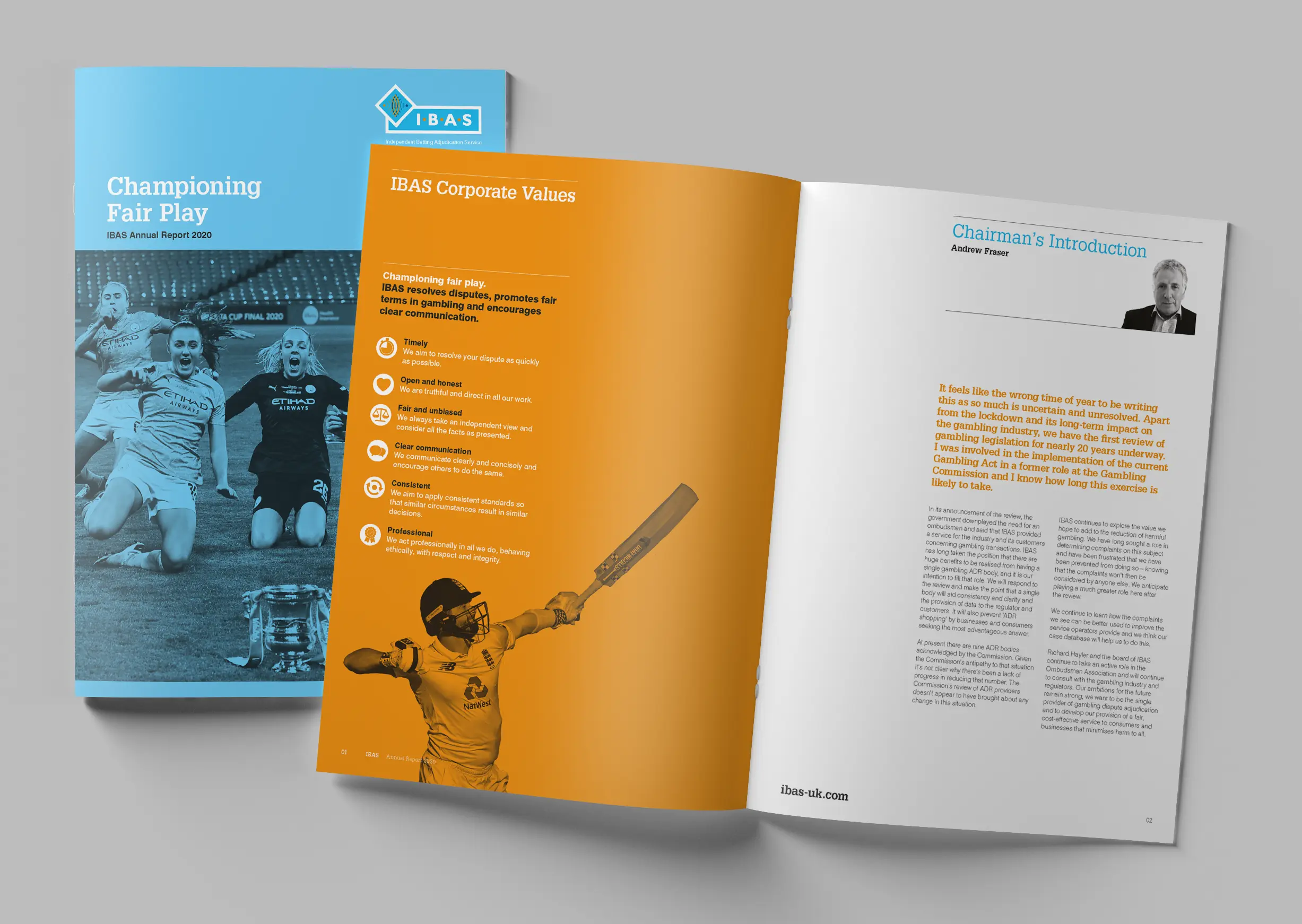 IBAS publishes 2020 annual report